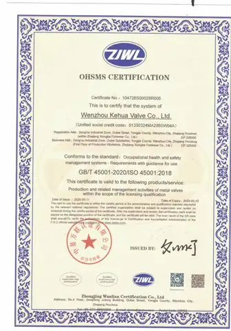 ISO 45001 Occupational Health & Safety