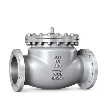 Check Valves