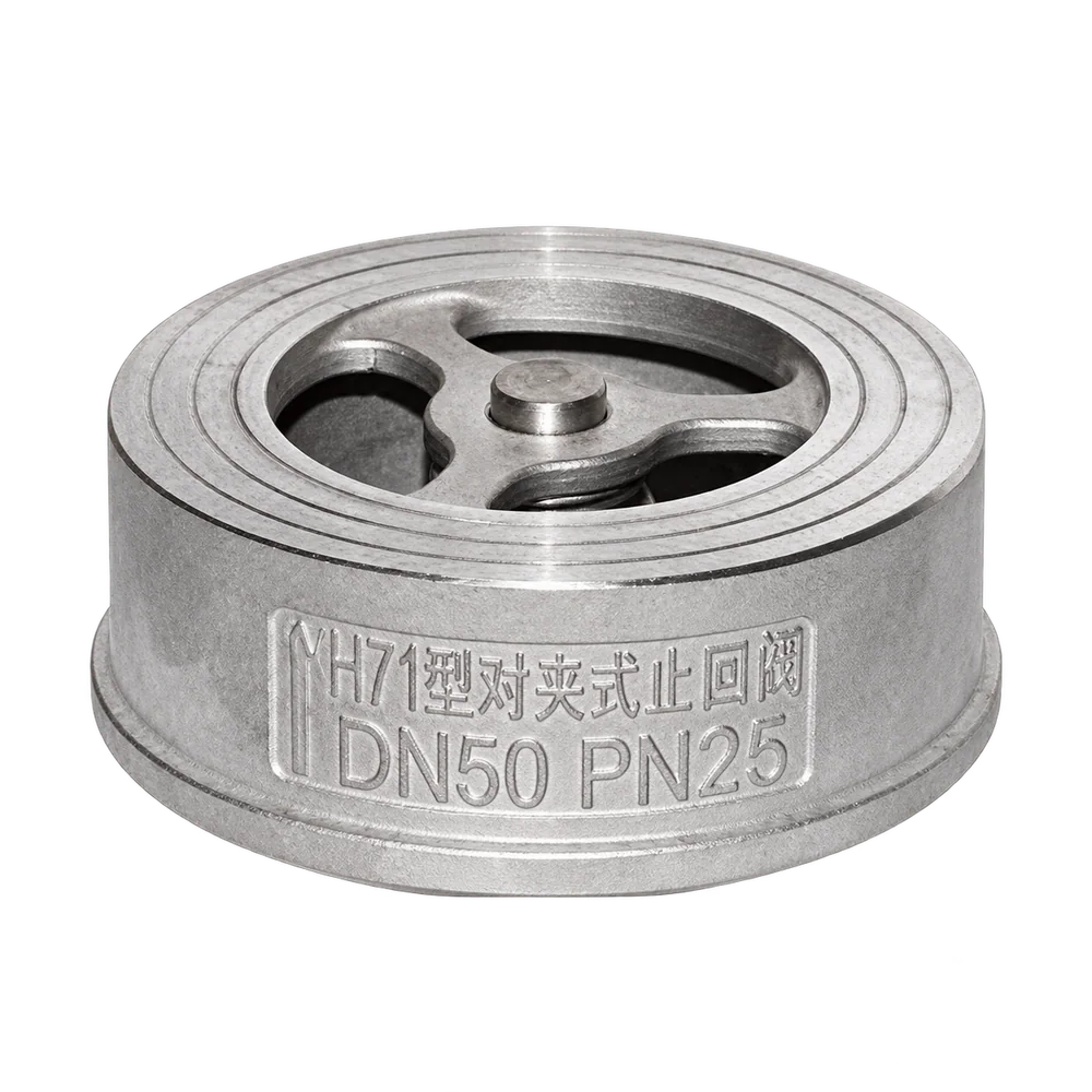 Dual-plate check valve - Check Valves