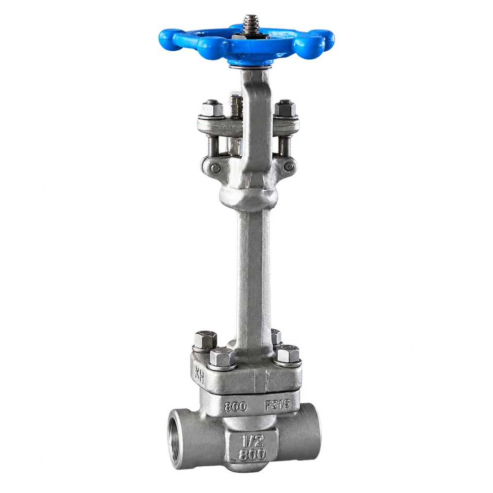 Cryogenic or extended-bonnet gate valve - Gate Valves