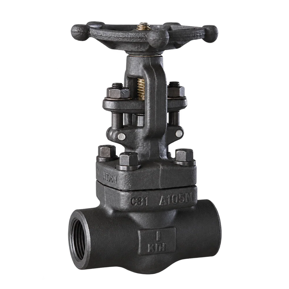 Forged steel gate valve - Gate Valves