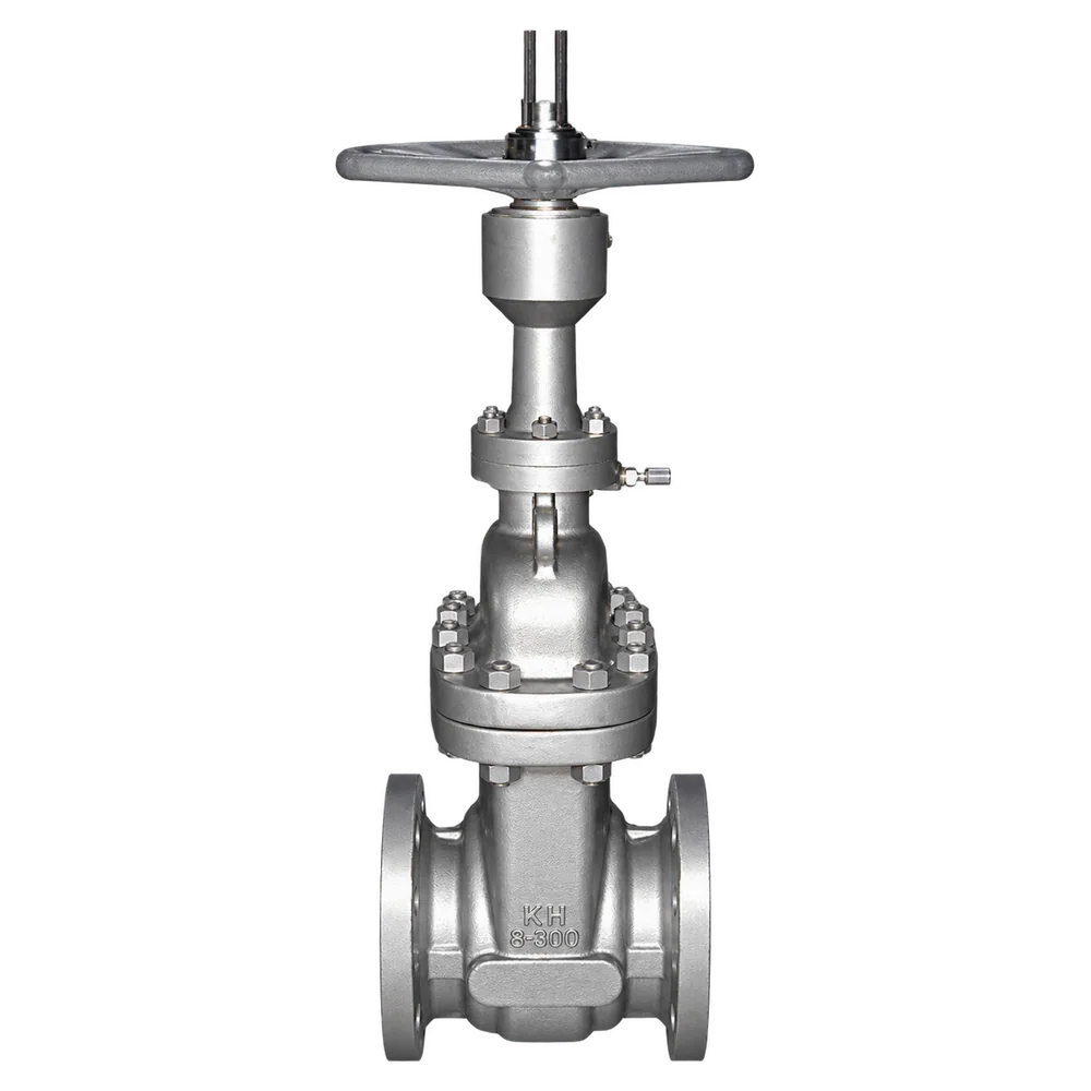 Non-rising stem gate valve - Gate Valves