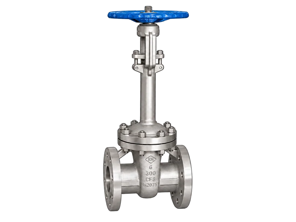Rising stem gate valve - Gate Valves