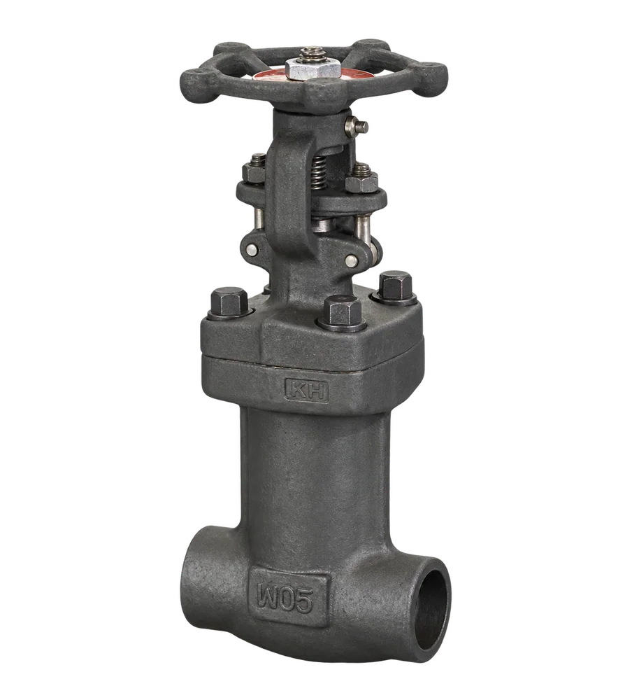 Bellows seal globe valve - Globe Valves