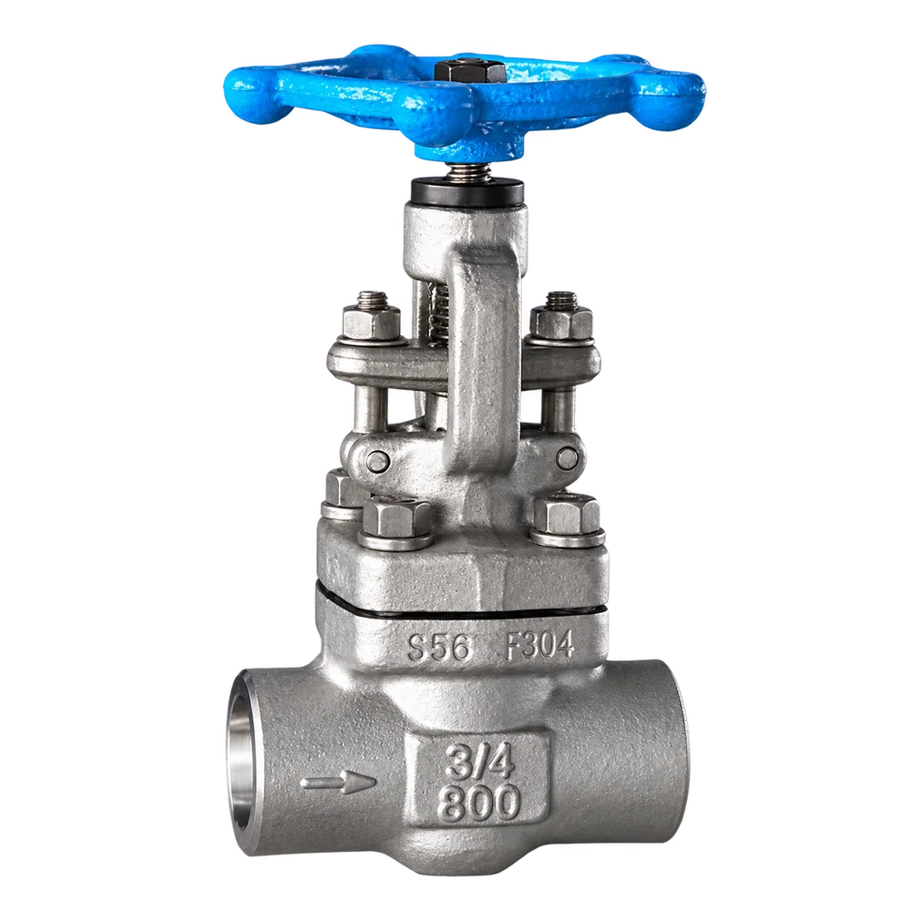 Forged steel globe valve - Globe Valves
