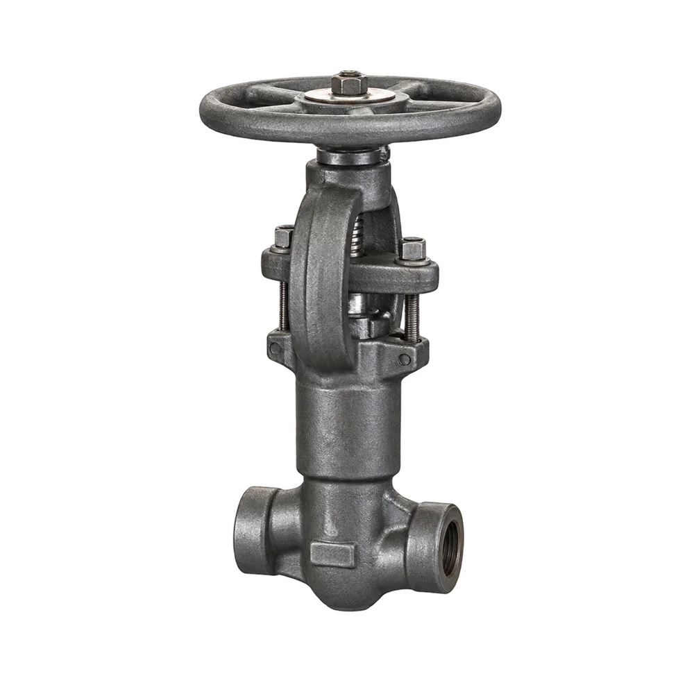 Pressure seal globe valve - Globe Valves