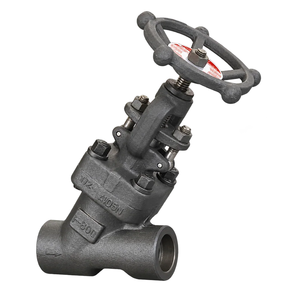 Y-pattern globe valve - Globe Valves